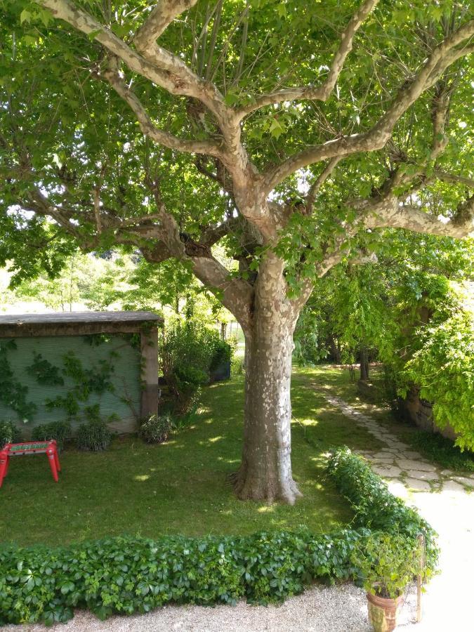 Reve D'Emma Bed and Breakfast Plan-dʼOrgon Exteriör bild